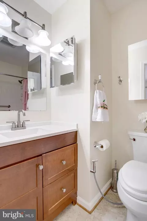 Bath - 8434 Springfield Oaks Dr, Springfield, VA 22153 photo 1 of 4
