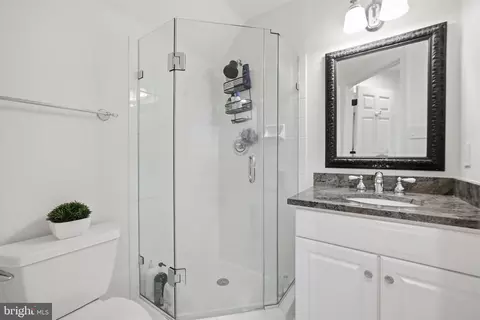 Bath - 1320 Lessard Ln, Mclean, VA 22101 photo 3 of 4