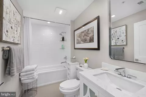 Bath - 1450 Emerson Ave #317, Mclean, VA 22101 photo 3 of 3
