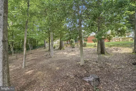 Exterior - 6922 Sydenstricker Rd, Springfield, VA 22152 photo 13 of 13