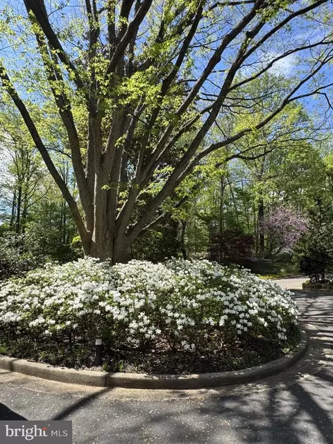 Other - 700 Belgrove Rd, Mclean, VA 22101 photo 19 of 19