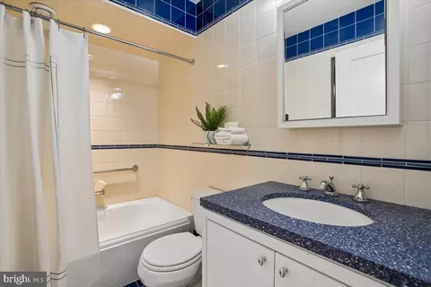 Bath - 700 Belgrove Rd, Mclean, VA 22101 photo 7 of 9