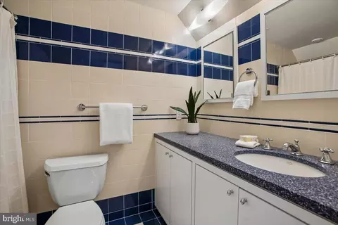 Bath - 700 Belgrove Rd, Mclean, VA 22101 photo 5 of 9