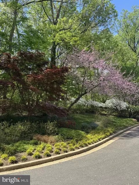 Other - 700 Belgrove Rd, Mclean, VA 22101 photo 18 of 19