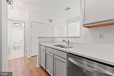 Entry Way - 1530 Spring Gate Dr #9106, Mclean, VA 22102 photo 2 of 2