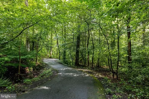 Other - 10910 Wilder Point Ln, Reston, VA 20191 photo 14 of 14