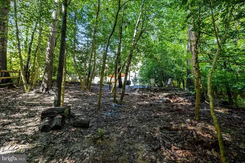 Exterior - 10910 Wilder Point Ln, Reston, VA 20191 photo 11 of 11