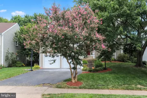 Exterior - 13716 Springhaven Dr, Chantilly, VA 20151 photo 3 of 9