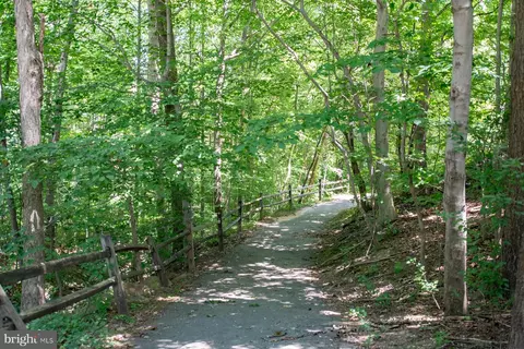 Other - 5520 Southampton Dr, Springfield, VA 22151 photo 28 of 33