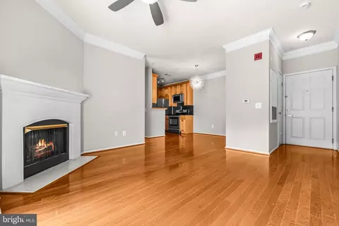 Living - 1570 Spring Gate Dr #7203, Mclean, VA 22102 photo 2 of 9