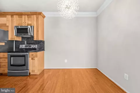 Other - 1570 Spring Gate Dr #7203, Mclean, VA 22102 photo 2 of 18