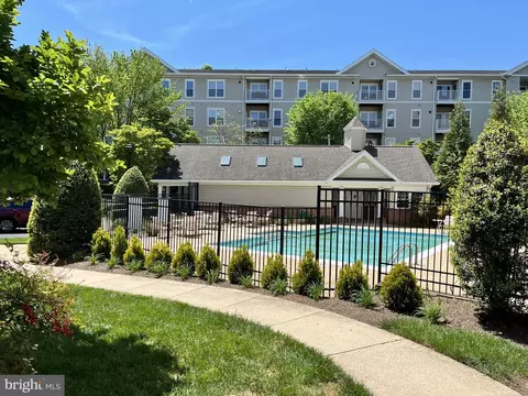 6990 Falls Reach Dr #113, Falls Church, VA 22043