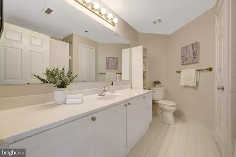Bath - 1625 International Dr #421, Mclean, VA 22102 photo 2 of 4