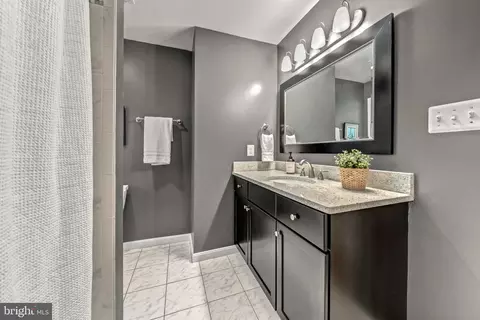 Bath - 1623 Linway Park Dr, Mclean, VA 22101 photo 5 of 6