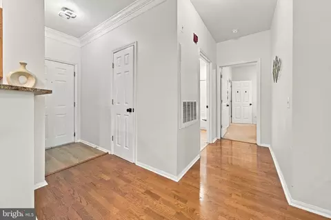 Entry Way - 1600 Spring Gate Dr #2103, Mclean, VA 22102 photo 3 of 6