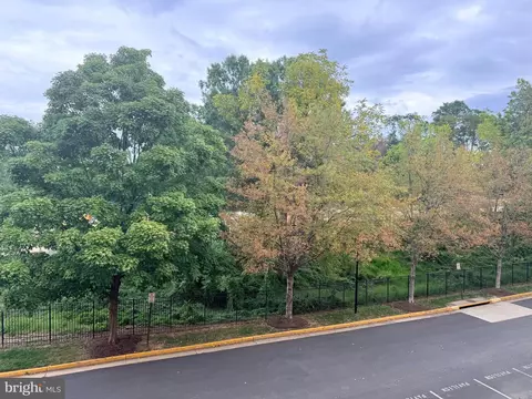 7000 Falls Reach Dr #203, Falls Church, VA 22043