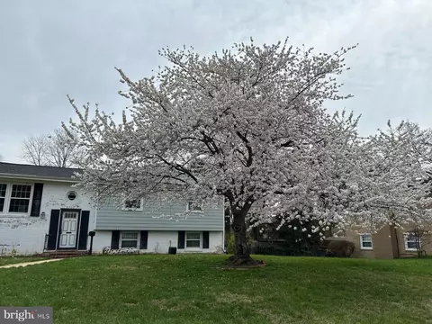 6717 Anthony St, Alexandria, VA 22306