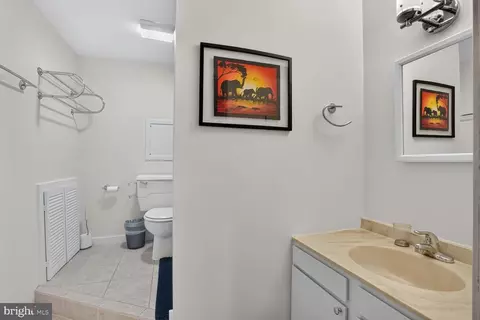 Bath - 2003 Upper Lake Dr, Reston, VA 20191 photo 5 of 5