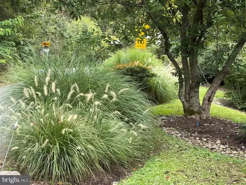 Other - 6133 Franklin Park Rd, Mclean, VA 22101 photo 4 of 6
