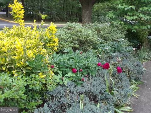 Exterior - 6010 Timber Hollow Ln, Springfield, VA 22152 photo 4 of 5