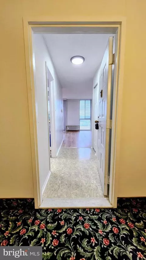 Entry Way - 6800 Fleetwood Rd #1003, Mclean, VA 22101 photo 5 of 5