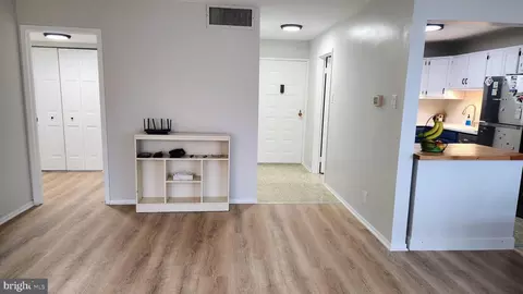 Entry Way - 6800 Fleetwood Rd #1003, Mclean, VA 22101 photo 1 of 5