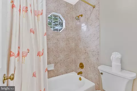 Bath - 1360 Snow Meadow Ln, Mclean, VA 22102 photo 4 of 6