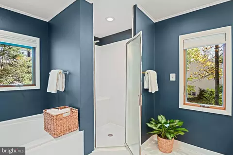 Bath - 849 Merriewood Ln, Mclean, VA 22102 photo 4 of 11