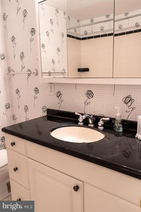 1643 Strine Dr, Mclean, VA 22101 photo 22
