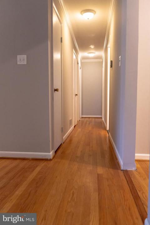 1643 Strine Dr, Mclean, VA 22101 photo 15
