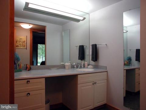 1706 Putter Ln, Reston, VA 20190 photo 68