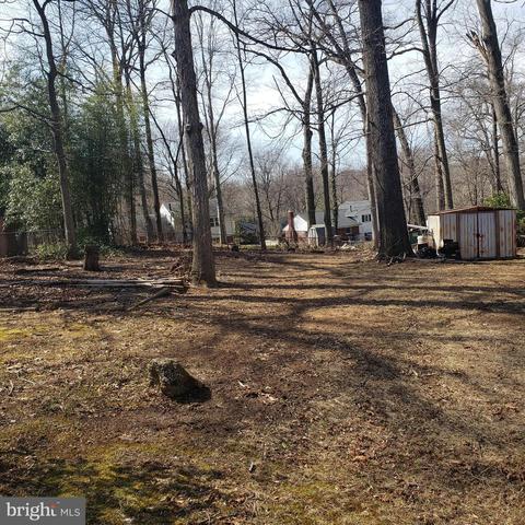 5405 Moultrie Rd, Springfield, VA 22151 photo 9