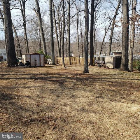5405 Moultrie Rd, Springfield, VA 22151 photo 8