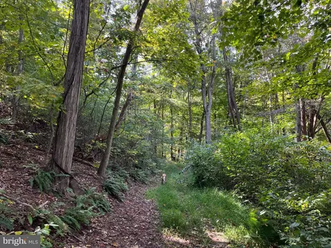 0 E River Mountain Rd, Narrows, VA 24124 photo 7