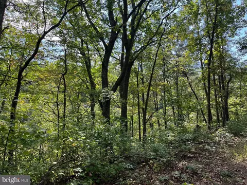 0 E River Mountain Rd, Narrows, VA 24124 photo 20