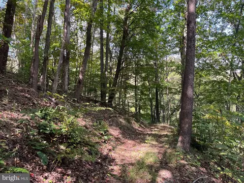 0 E River Mountain Rd, Narrows, VA 24124 photo 12