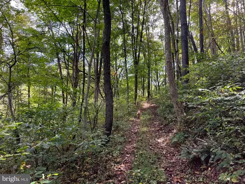 0 E River Mountain Rd, Narrows, VA 24124 photo 25