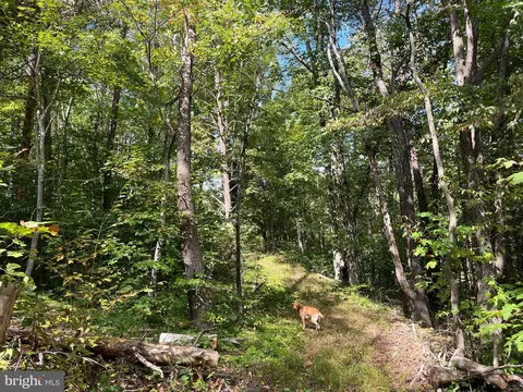 0 E River Mountain Rd, Narrows, VA 24124 photo 14