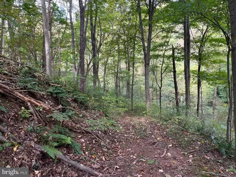 0 E River Mountain Rd, Narrows, VA 24124 photo 17