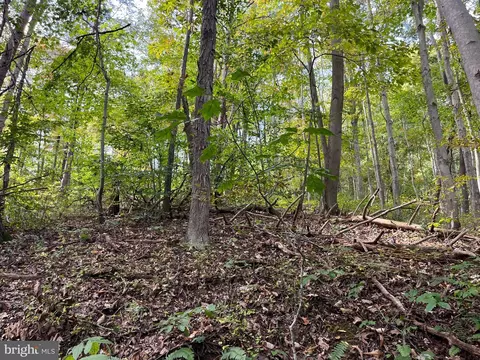 0 E River Mountain Rd, Narrows, VA 24124 photo 16