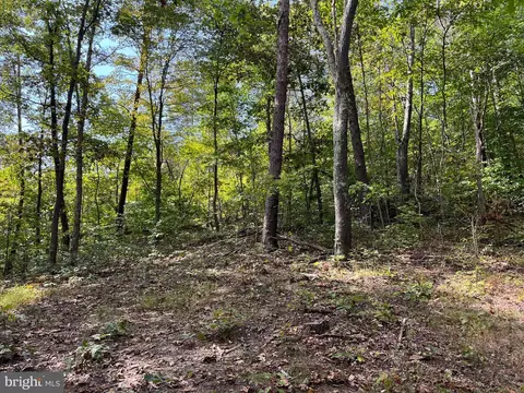 0 E River Mountain Rd, Narrows, VA 24124 photo 19