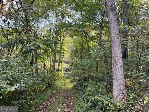 0 E River Mountain Rd, Narrows, VA 24124 photo 24