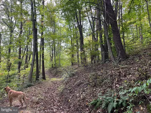 0 E River Mountain Rd, Narrows, VA 24124 photo 21