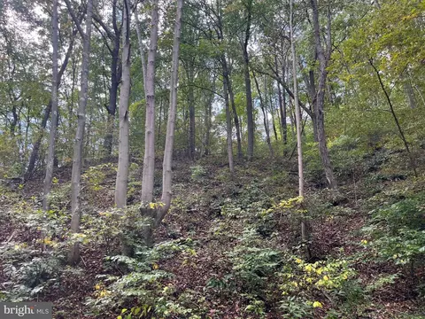 0 E River Mountain Rd, Narrows, VA 24124 photo 27