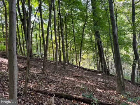 0 E River Mountain Rd, Narrows, VA 24124 photo 9
