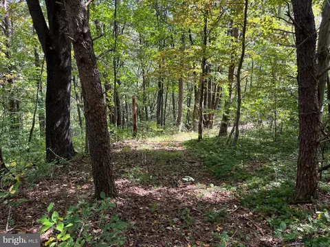 0 E River Mountain Rd, Narrows, VA 24124 photo 15