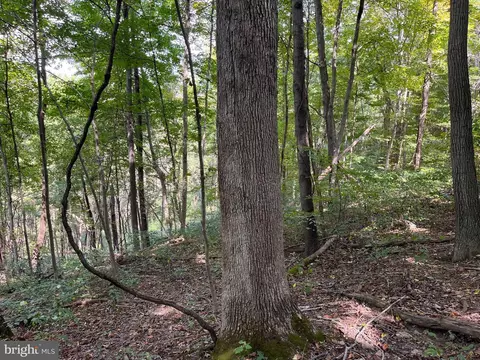 0 E River Mountain Rd, Narrows, VA 24124 photo 6