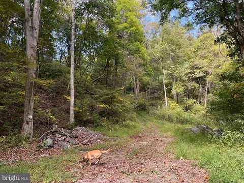 0 E River Mountain Rd, Narrows, VA 24124 photo 28