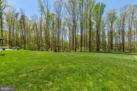 Exterior - 5000 Double Eagle Dr, Louisa, VA 23093 photo 9 of 14