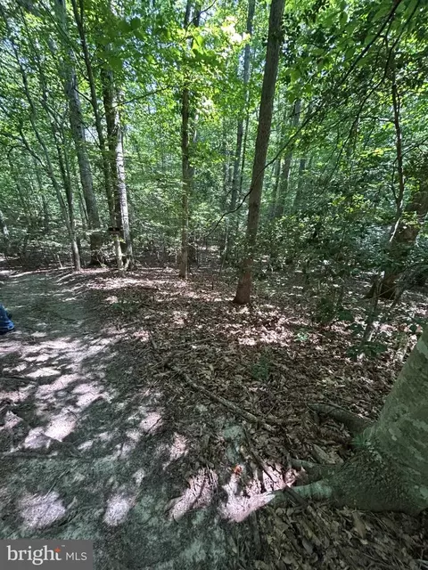 00 Runninghorse Ln, Gloucester, VA 23061 photo 7